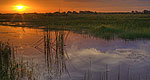 Everglades NP