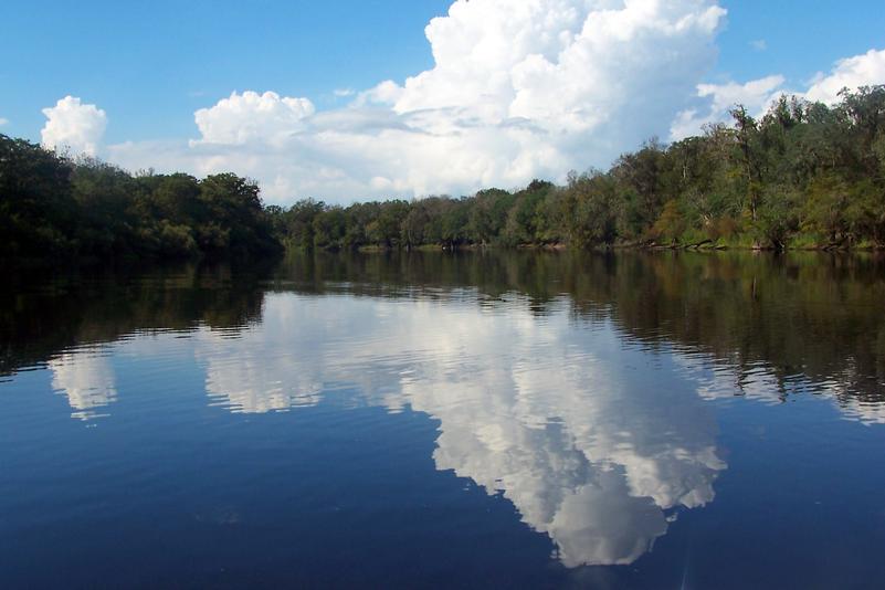 Suwannee River